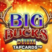 NUSANTARA88 - Big Bucks Deluxe Tapcards | nusantara88