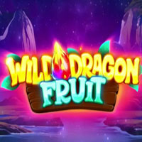 NUSANTARA88 - Wild Dragon Fruit | nusantara88