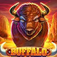 NUSANTARA88 - Buffalo | nusantara88