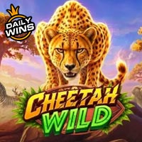 NUSANTARA88 - Cheetah Wild | nusantara88